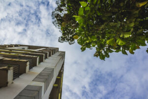 Read more about the article How to plan the home