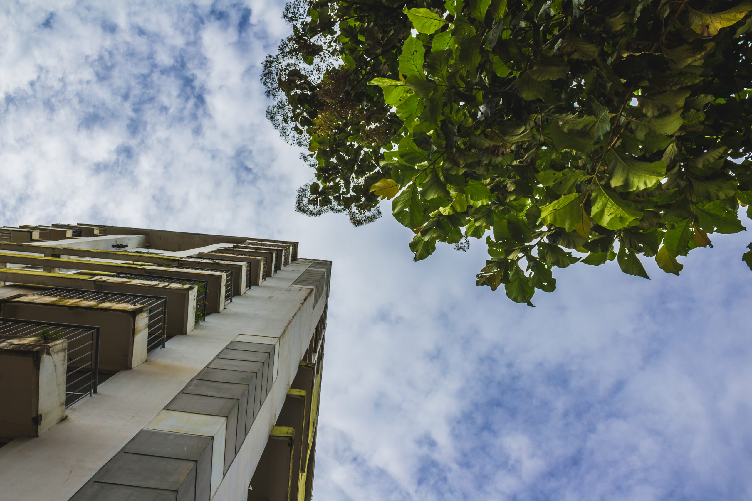 Read more about the article How to plan the home